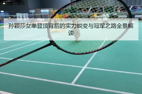 孙颖莎女单登顶背后的实力蜕变与冠军之路全景解读