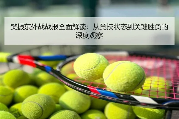 樊振东外战战报全面解读：从竞技状态到关键胜负的深度观察