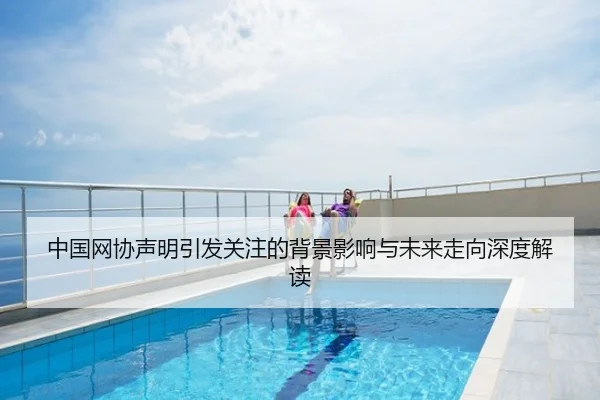 中国网协声明引发关注的背景影响与未来走向深度解读